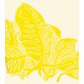Encre lithographique Gerstaecker, Jaune hansa