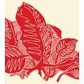 Encre lithographique Gerstaecker, Rouge naphtol