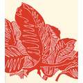 Encre lithographique Gerstaecker, Rouge écarlate