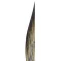 Striper Da Vinci, Pointe longue forme sabre, série 703, 1, Larg. 8,5 mm - Long. 125 mm