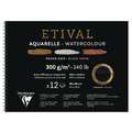 Papier aquarelle Etival noir Clairefontaine - 300g/m², 36 x 48 cm - 12 feuilles, Bloc à spirale, 36 x 48 cm - 12 feuilles