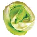 Colorant textile Viva Decor, 90 ml, Vert  mai