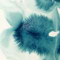 morepic-2