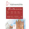 Bloc de papier blanc aquarelle Britannia Hahnemuehle, 30 cm x 40 cm, 300 g/m², 12 feuilles - collé 4 côtés, 3. Grain satiné