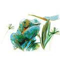 Coffret de marqueurs double pointe Pitt Artist Pen Dual Faber-Castell, Animaux