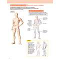 morepic-2