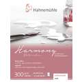 Papier Harmony Watercolour Hahnemühle, 8 cm x 10,5 cm, 300 g/m², Bloc collé 1 côté