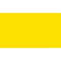 Feutre fin Pointliner S40 Colour Dye Ink Pentel, Jaune