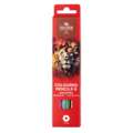 morepic-1