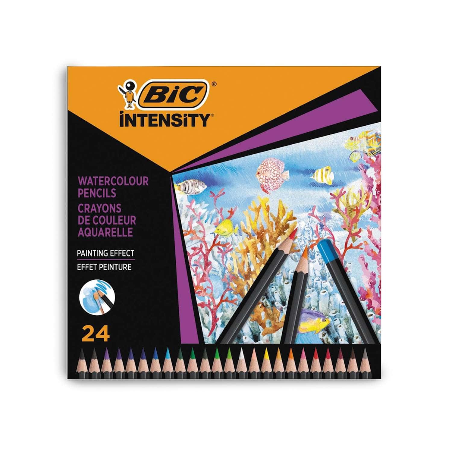 BIC coffret créatif crayons de couleur et feutres
