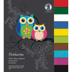 Bloc carton photo Ursus