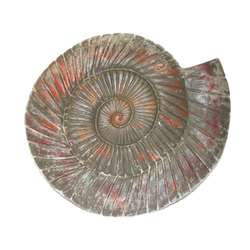 Moule pour béton en forme d’ammonite