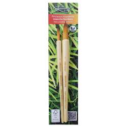 Lot de 2 pinceaux bambou Fauve 700RO Léonard