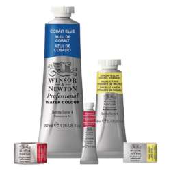 Peinture aquarelle Professional Watercolour Winsor & Newton