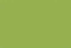 Jaune - Vert - Terre 5