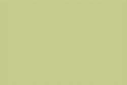 Jaune - Vert - Terre 4