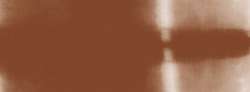 Brun noisette