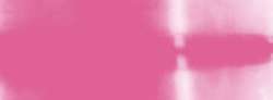 Rose princesse