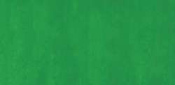 Vert clair permanent - PY3, PG7, PW6
