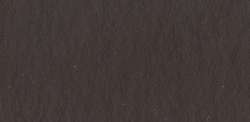 Brun Van Dick - PR101, PBk11