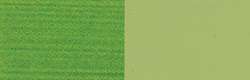 Vert oxyde chrome olive - PG17, PY3