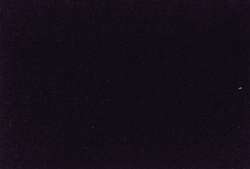 Noir d'ivoire - PBk7