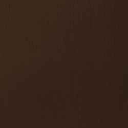 Terre d'ombre naturelle - PBr7