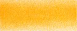 Mangue (Mango - 0310)
