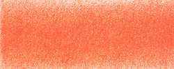 Feu d'automne (Autumn blaze - 0420)