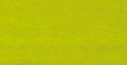 Chartreuse - CAB9 CAY23