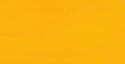 Jaune foncé - CAY23 CFY3