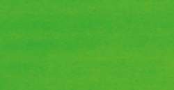 Vert lumière - CAB9 CAY17