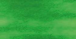 Vert d'Orient - CAB9 CAY17