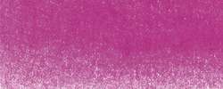 Rose Hollywood (Hollywood pink - 0950)