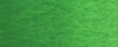 Vert permanent 2 - PY74 PY53 PG7