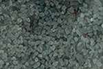 Granulat de verre Jesmonite, 150 g, Argent