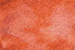Peinture aquarelle granuleuse HWC Artists' Watercolour Holbein, Tube de 5 ml, Orange flamant rose