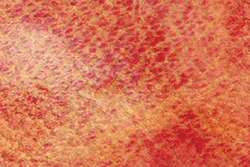 Peinture aquarelle granuleuse HWC Artists' Watercolour Holbein, Tube de 5 ml, Rouge éclipse de lune