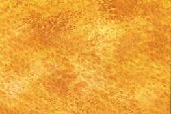 Peinture aquarelle granuleuse HWC Artists' Watercolour Holbein, Tube de 5 ml, Jaune herbe de pampa