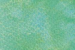 Peinture aquarelle granuleuse HWC Artists' Watercolour Holbein, Tube de 5 ml, Vert forêt enchantée