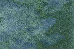 Peinture aquarelle granuleuse HWC Artists' Watercolour Holbein, Tube de 5 ml, Gris vert échinops