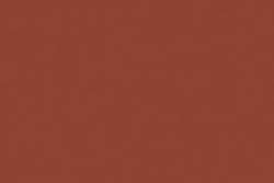 Taisha / Brun Taisha