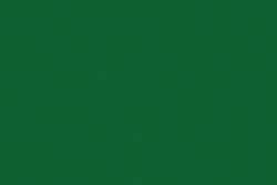 Moegi / Vert poireau