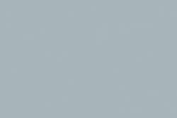 Ginnezu / Gris argenté