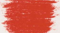 Rose permanent clair I