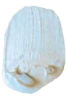 Bleu interférence - N/A