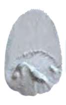 Argent iridescent - N/A