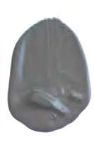 Gris neutre - PBk11, PW6, PBr7