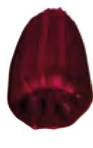 Marron perm. - PV19 PR141, PB15:3