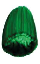 Vert phtalo nuance jaune - PG36